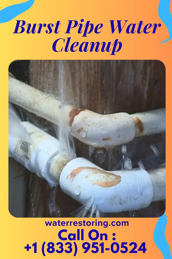 Burst Pipe Water Cleanup in Murphys Estates, SC