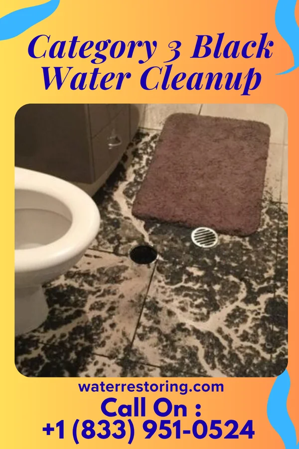 Category 3 Black Water Cleanup in Murphys Estates, SC