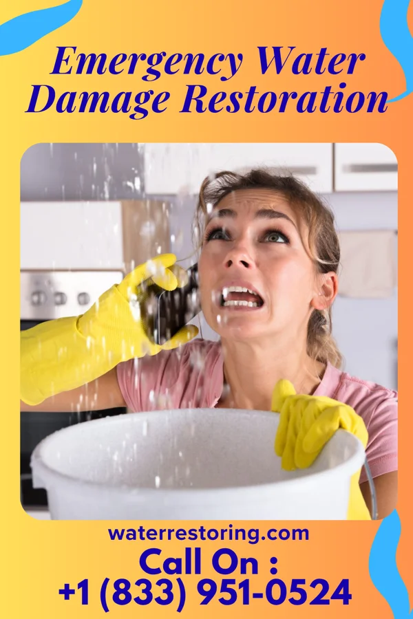 Emergency Water Damage Restoration in Murphys Estates, SC