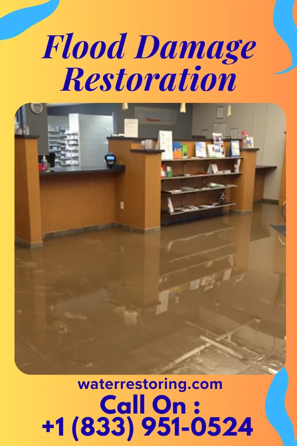 Flood Damage Restoration in Murphys Estates, SC