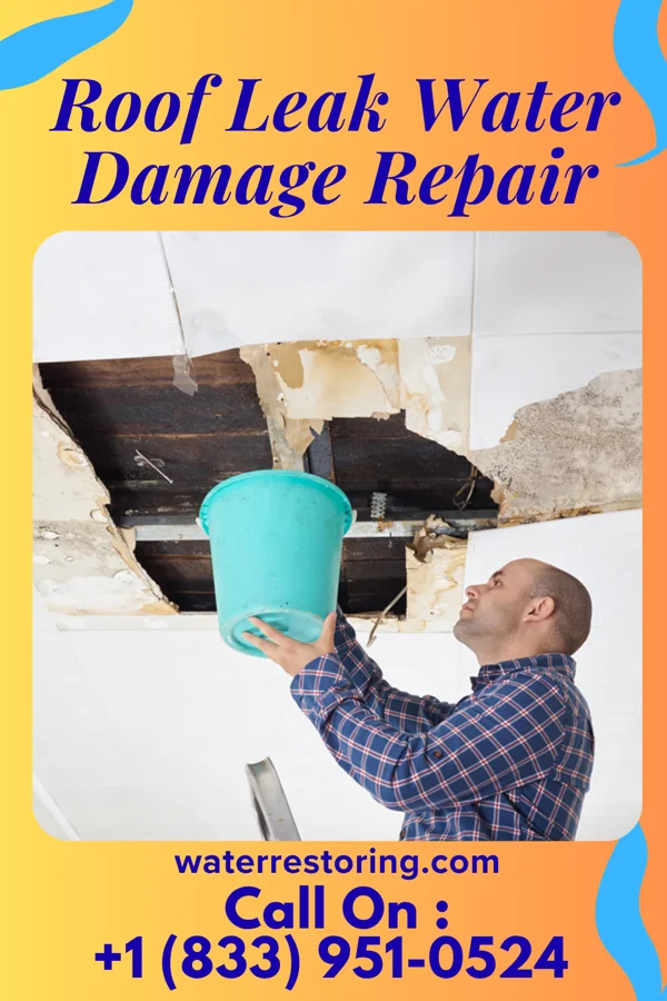 Roof Leak Water Damage Repair in Murphys Estates, SC